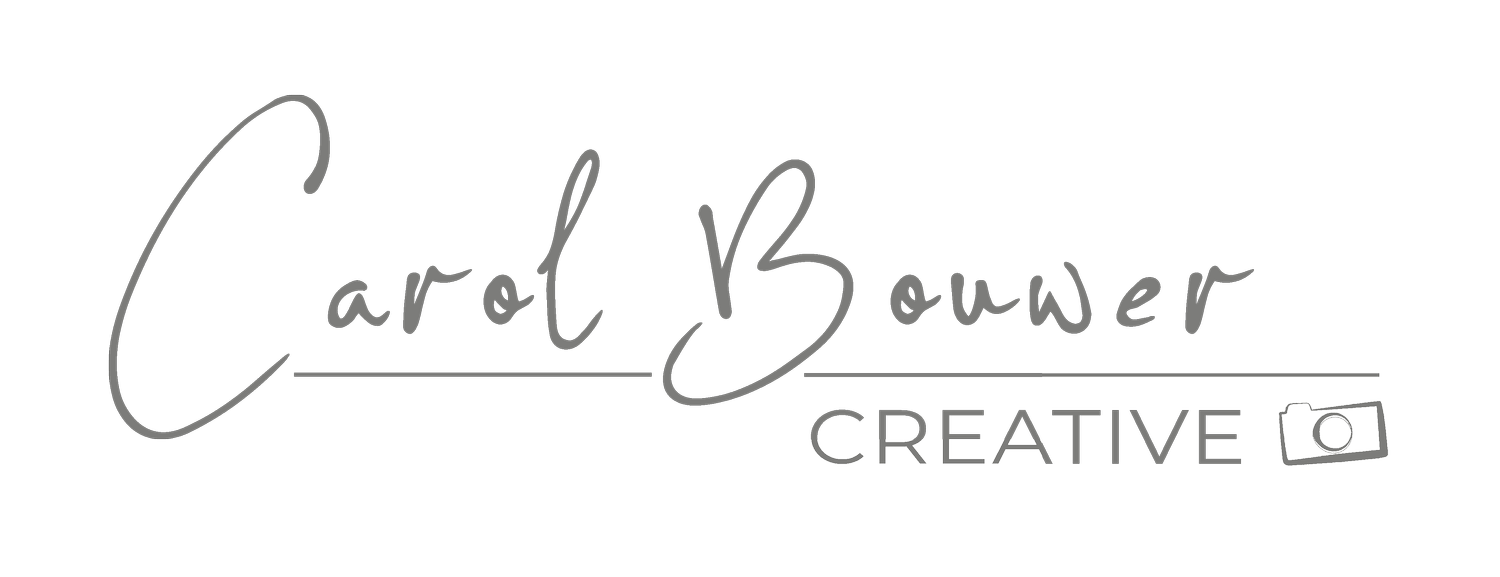 Carol Bouwer Logo_2023_Grey_1